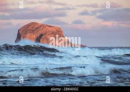 Sturmwellen und Leuchtturm auf einer Klippe bei Sonnenuntergang. Bass Rock, Schottland, Großbritannien Stockfoto