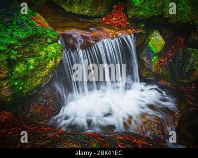Kleiner schöner Wasserfall mit verschwommenem Wasser im Garten. Landschaftsgestaltung des japanischen Gartens. Wunderschöne Landschaft mit kleinem Teich und Wasserfall. Stockfoto