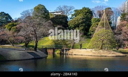 Koishikawa Korakuen Gärten im Februar, Tokio, Japan Stockfoto