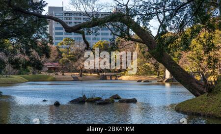 Koishikawa Korakuen Gärten im Februar, Tokio, Japan Stockfoto