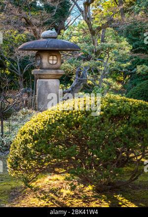 Steinlaterne in den Koishikawa Korakuen Gardens im Februar, Tokio, Japan Stockfoto