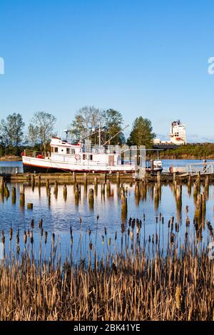 Der große Frachter, der am Motorschiff Gikumi vorbeifährt, dockte an der Heritage Britannia Ship Yard in Steveston British Columbia an Stockfoto