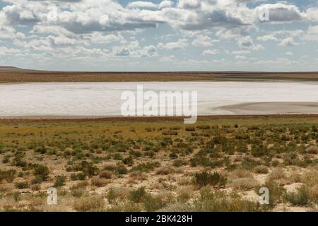 Trockener Salzsee in der Steppe von Kasachstan. Stockfoto