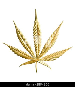 Golden Colored Leaf of Full-grown Hanf - Cannabis - isoliert auf weißem Hintergrund mit Schatten. Anbau von medizinischem Marihuana. Studioaufnahme. Stockfoto