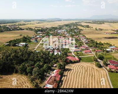 Luftaufnahme geerntetes Reisfeld in Malays Kampung. Stockfoto