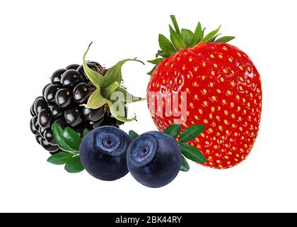 Beeren-Kollektion. Erdbeere, Heidelbeere, Brombeere isoliert auf weiß. Stockfoto