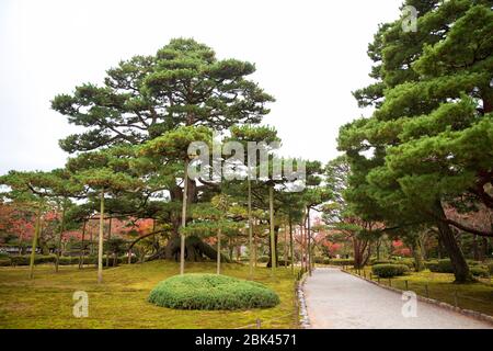 Fall in Kenrokuen in Ishikawa, Japan Stockfoto