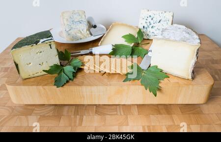 Käseplatte Präsentation von Lebensmitteln von handwerklichen feinen Käse: Garlic Garg, Gorgonzola, Ossau Iraty, Blue d'Auvergne und Gorwydd Caerphilly Käse Stockfoto
