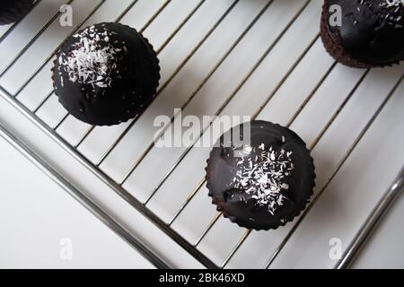 Schokolade glasiert Schokolade Kakao verrückt Kuchen Muffins mit Kokosflocken in Reihen auf einem Metall-Kühlregal Stockfoto