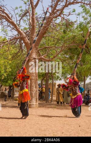 Traditionelle Tänze der Dogonmenschen im Dorf Sangha im Dogonland in Mali, Westafrika. Stockfoto