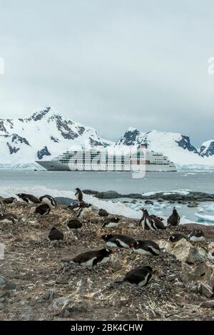 Kreuzfahrtschiff Seabourn Quest auf der chilenischen Gonz૥z Videla Base, auf dem antarktischen Festland am Waterboat Point in Paradise Bay, mit Gentoo Pinguin Kolonie (PY Stockfoto