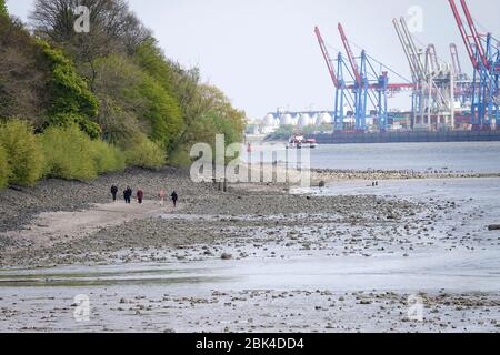 Hamburg, Deutschland. April 2020. Wanderer sind auf der Elbe zwischen Övelgönne und Teufelsbrück, wenn der Wasserstand sehr niedrig ist. Kredit: Bodo Marks/dpa/Alamy Live News Stockfoto