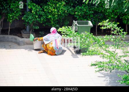 Alte Dame in Saree und Maske Reinigung Gehwege und Straßen mit einem Holzbesen und Müllabfuhr in eine grüne bewegliche Mülleimer Stockfoto