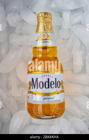 Calgary, Alberta, Kanada. Mai 2020. Modelo Especial Bierflasche klar leuchtend gelbe Farbe auf Eis Stockfoto