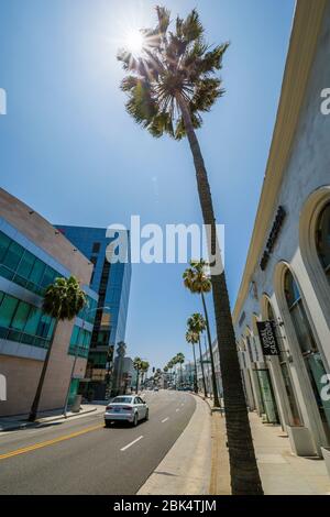 Blick auf Geschäfte und Palmen auf Santa Monica Boulevard, Beverley Hills, Los Angeles, Kalifornien, USA, Nordamerika Stockfoto