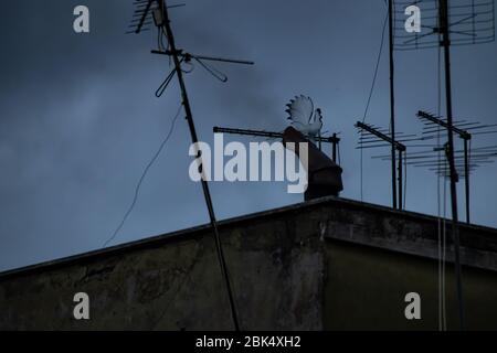 Zwischen den Dächern der Häuser erscheint ein rauchender Kamin, schwarzer Rauch kommt heraus und dringt in den Himmel ein. Stockfoto