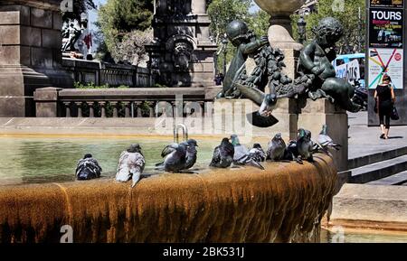 Plaça de Catalunya (Katalonien-Platz oder Plaza de Cataluña) mit Wasserbrunnen, Tauben, Skulpturen, Architektur in Barcelona, Katalonien, Spanien. Stockfoto