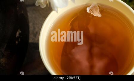 Leichte sonnige Tasse mit Frühlingsaroma aromatisierten Tee mit Blütenblatt Nahaufnahme. Kirschblüten weiße Blüten auf Becher mit Reflektion. Lifestyle Natur im Freien rom Stockfoto