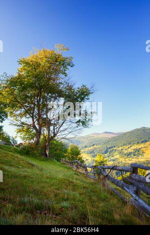 Malerische Landschaft Frühling Landschaft in Siebenbürgen, Rumänien, Europa Stockfoto