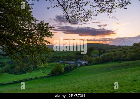 Lewesdon Hill, Dorset, Großbritannien. Mai 2020. Wetter in Großbritannien. Sonnenuntergang am Ende eines warmen sonnigen Tages vom Wald auf dem Lewesdon Hill bei Broadwindsor in Dorset aus gesehen. Bild: Graham Hunt/Alamy Live News Stockfoto