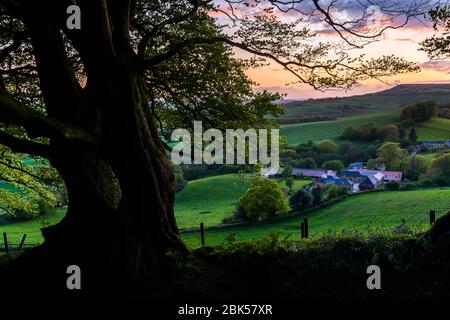 Lewesdon Hill, Dorset, Großbritannien. Mai 2020. Wetter in Großbritannien. Sonnenuntergang am Ende eines warmen sonnigen Tages vom Wald auf dem Lewesdon Hill bei Broadwindsor in Dorset aus gesehen. Bild: Graham Hunt/Alamy Live News Stockfoto