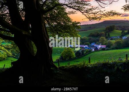 Lewesdon Hill, Dorset, Großbritannien. Mai 2020. Wetter in Großbritannien. Sonnenuntergang am Ende eines warmen sonnigen Tages vom Wald auf dem Lewesdon Hill bei Broadwindsor in Dorset aus gesehen. Bild: Graham Hunt/Alamy Live News Stockfoto