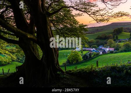 Lewesdon Hill, Dorset, Großbritannien. Mai 2020. Wetter in Großbritannien. Sonnenuntergang am Ende eines warmen sonnigen Tages vom Wald auf dem Lewesdon Hill bei Broadwindsor in Dorset aus gesehen. Bild: Graham Hunt/Alamy Live News Stockfoto