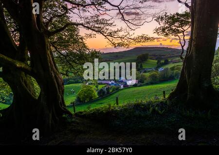 Lewesdon Hill, Dorset, Großbritannien. Mai 2020. Wetter in Großbritannien. Sonnenuntergang am Ende eines warmen sonnigen Tages vom Wald auf dem Lewesdon Hill bei Broadwindsor in Dorset aus gesehen. Bild: Graham Hunt/Alamy Live News Stockfoto