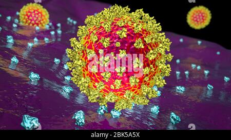 Covid-19 Coronavirus, das an menschliche Zelle bindet, Abbildung Stockfoto