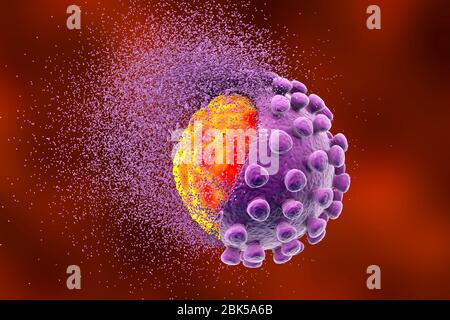 Ausrottung des Kovid-19-Coronavirus, konzeptionelle Abbildung. Im Dezember 2019 entstand im chinesischen Wuhan das neue Coronavirus SARS-COV-2 (zuvor 2019-COV). Das Virus verursacht eine leichte Atemwegserkrankung (Covid-19), die sich zu einer Lungenentzündung entwickeln und in einigen Fällen tödlich sein kann. Die Coronaviren nehmen ihren Namen aus ihrer Krone (Corona) von Oberflächenspitzenproteinen (große hervorstehende Teile), die dazu dienen, ihre Wirtszellen anzubringen und zu durchdringen. Stockfoto