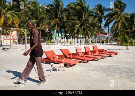 Belizean Mann zu Fuß einen Hund am Strand an einem sonnigen Tag. Stockfoto