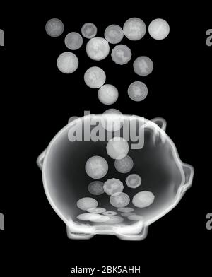 Sparschwein, Röntgen. Stockfoto