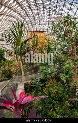 Innerhalb der Biome am Botanischen Garten Chenshan in Songjiang District, Shanghai, China. Stockfoto