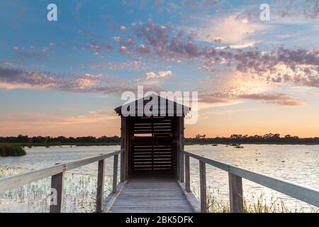 Sonnenaufgang an der Vogelbeobachtungshütte am Bibra Lake, Westaustralien Stockfoto