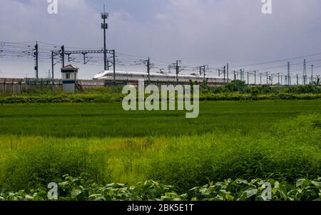 Eine chinesische CRRC gebaut CRH380 A Bullet Zug fährt Lijiang South Station, Zhejiang, China. Stockfoto