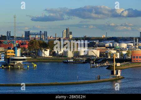 Port Control, Rotterdam, Südholland, Niederlande, Europa Stockfoto
