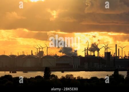 Hafen, Bezirk Maasvlakte, Rotterdam, Südholland, Niederlande, Europa Stockfoto