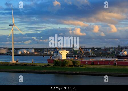 Windturbine, Maasvlakte District, Rotterdam, Niederlande, Europa Stockfoto