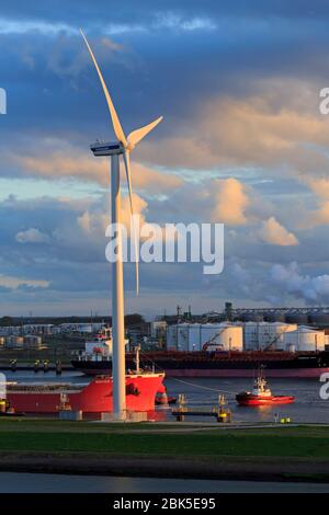 Windturbine, Maasvlakte District, Rotterdam, Niederlande, Europa Stockfoto