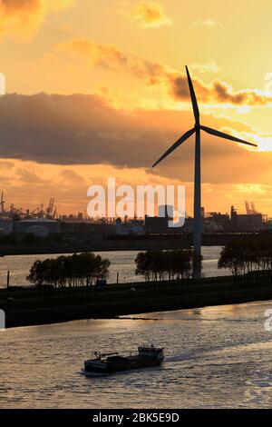 Windturbine, Maasvlakte District, Rotterdam, Niederlande, Europa Stockfoto