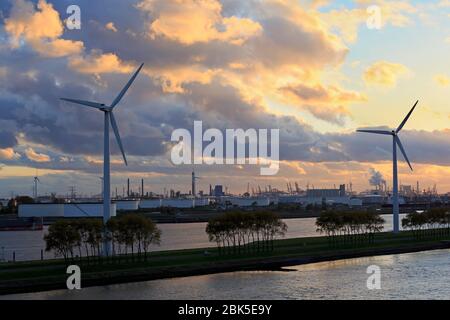 Windturbinen, Maasvlakte District, Rotterdam, Niederlande, Europa Stockfoto