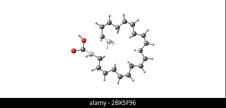 Docosahexaensäure oder DHA ist eine Omega-3-Fettsäure, die eine primäre strukturelle Komponente des menschlichen Gehirns, der Großhirnrinde, der Haut und der Netzhaut ist. 3d Stockfoto