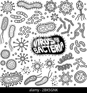 Viren und Bakterien Doodle Zeichnung Sammlung. Mikroorganismus wie Viren, Bakterien usw. sind enthalten. Handgezeichnete Vektor-Doodle Illustrationen isol Stock Vektor