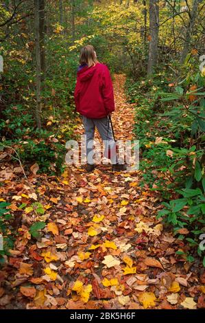 Wanderweg mit Wanderern, Bear Run Nature Reserve, Pennsylvania Stockfoto