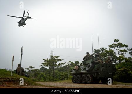 U.S. Marines with Bravo Company, 3rd Light Armored Reconnaissance Battalion, derzeit der 3rd Marine Division zugeordnet, führen Casevac-Übungen (Casevac) auf Okinawa, Japan, 21. April 2020 durch. CASEVACS werden verwendet, um Patienten, die medizinische Hilfe benötigen, schnell zu extrahieren. (USA Marine Corps Foto von CPL. Timothy Hernandez) Stockfoto