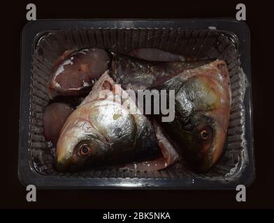 Verpackte rohe gefrorene Fischsteaks oder geschnittene Rohu-Fischstücke Stockfoto