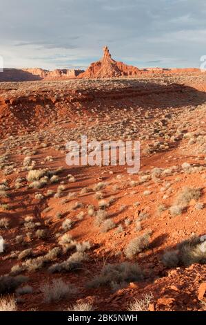 Tal der Götter im Herbst in SE Utah Stockfoto