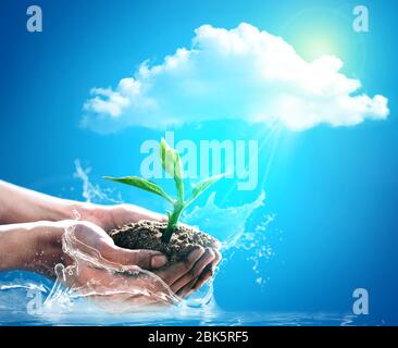 Konzeptionelle wesentliche Elemente für den Anbau von Kulturen mit Landwirt hält einen Sämling. Stockfoto