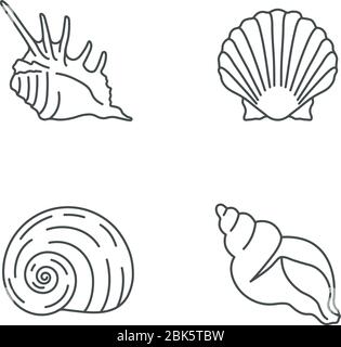Exotische Muscheln Pixel perfekte lineare Symbole gesetzt Stock Vektor