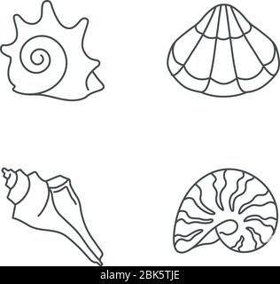 Verschiedene Muscheln Pixel perfekte lineare Symbole gesetzt Stock Vektor